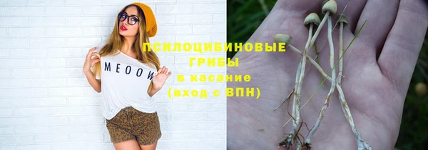 бошки Алексин