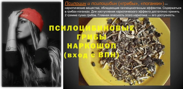 гашик Абинск