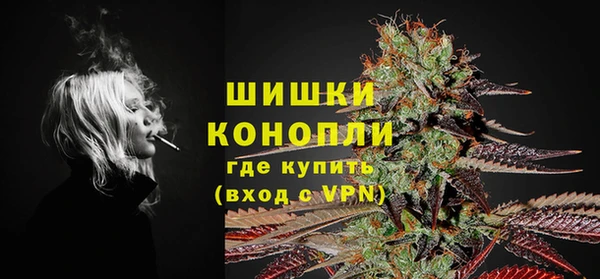 apvp Краснослободск