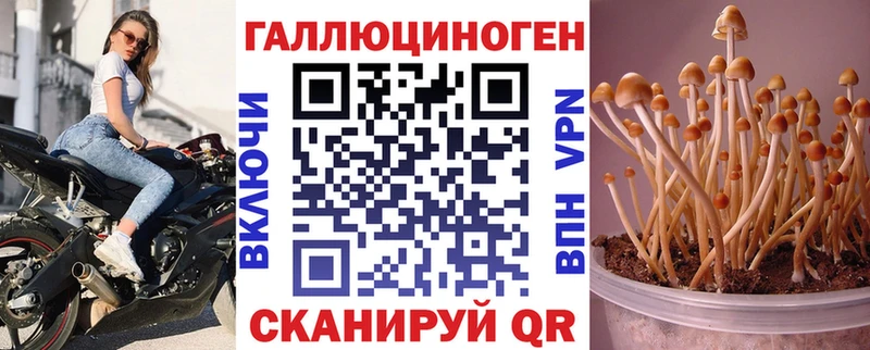 Галлюциногенные грибы Cubensis  Югорск 